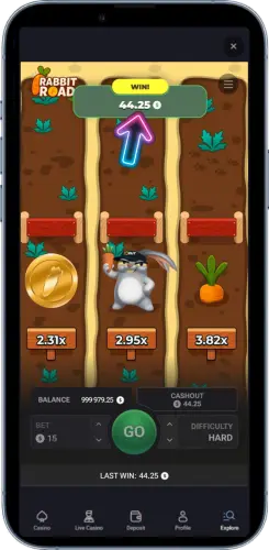 Rabbit Road win result screen New Zealand