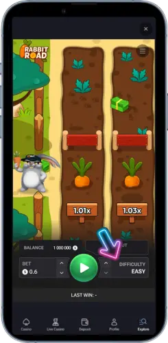 Choose difficulty level in Rabbit Road game NZ